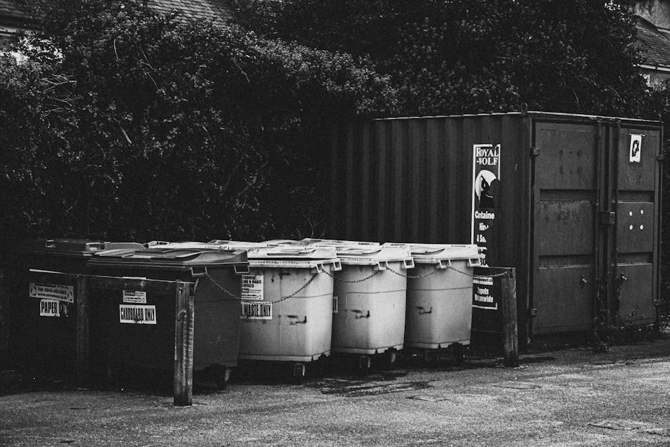 A row of five large, white waste bins with closed lids, positioned on a paved surface in front of a dark, industrial-looking shipping container. The bins are made of plastic with smooth surfaces and rounded edges, showing slight scuff marks and wear consistent with outdoor use. Each bin has a label indicating their designated waste type, such as 'Waste Only' and 'Refuse.' To the left, two additional smaller bins are visible, one with a label that reads 'Paper,' and the other with a label that reads 'Cardboard Only,' both made of similar plastic material and placed against a short wooden barrier. Behind the containers, dense foliage of trees and shrubs creates a natural backdrop, and the scene is lit by ambient daylight, casting soft shadows across the area. The image captures an outdoor waste collection arrangement, which may be associated with private rubbish disposal services like those offered by Rubbish Clearance Maida Vale, emphasizing the practical aspect of on-site rubbish removal in a residential or industrial context.